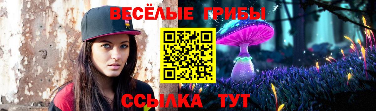 Галлюциногенные грибы Psilocybe Славгород