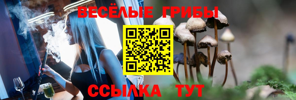 Славгород  Галлюциногенные грибы Psilocybine cubensis  Вход с VPN  Псилоцибиновые грибы мицелий 
